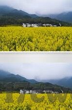 麻豆传媒直播官网入口-麻豆传媒直播，开启在线娱乐新体验的钥匙