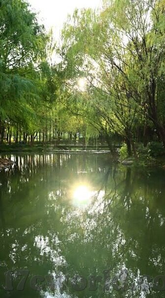 麻豆日记视频app-麻豆日记视频App，数字时代的多元化娱乐窗口